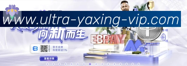 亚星体育荣誉